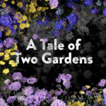 03/31/24- Harrisonburg campus: A Tale of Two Gardens - Pastor Adrian Mills